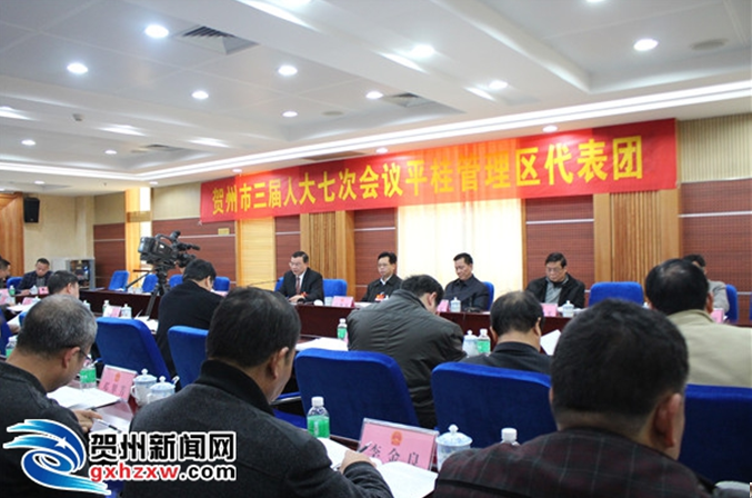 賀州市審議十三五規劃——突出碳酸鈣產業發展成為討論熱點