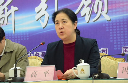 國土資源部科技與國際合作司高平副司長 中國粉體技術網