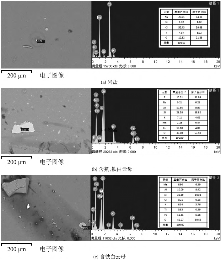 圖3塊狀石英中巖鹽及云母類礦物EMPA-SEI、EDS分析圖譜
