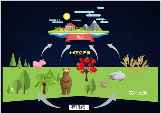 薛濤：固廢產業年度盤點