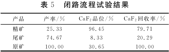 閉路流程試驗結果