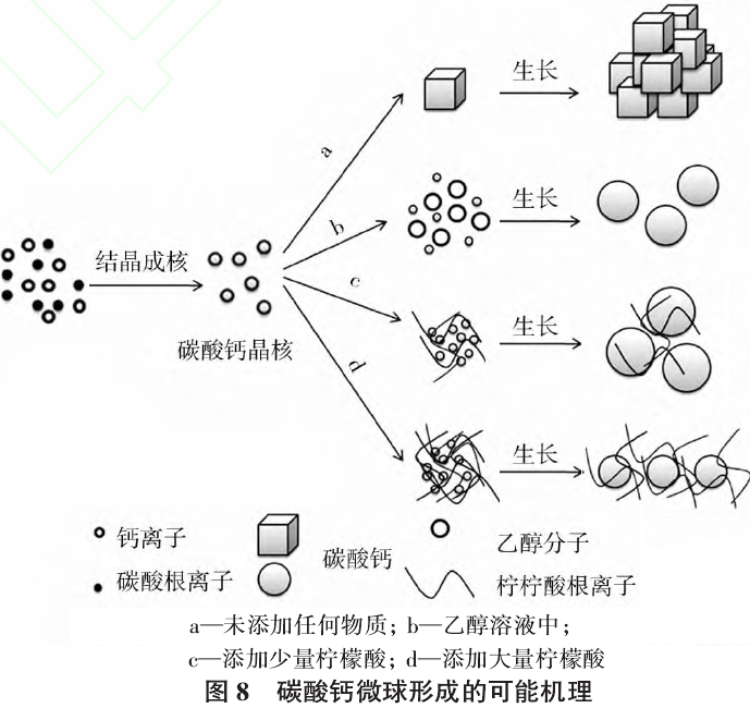 碳酸鈣微球形成的可能機理