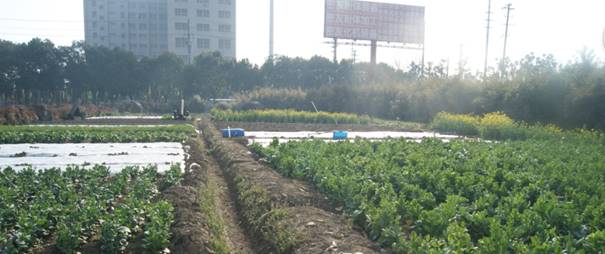 密友集團董事長(cháng)吳建明為保障員工用水健康引進(jìn)VWA細胞功能水
