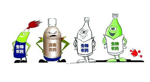 針狀超微細硅藻土因其具有較強的吸著(zhù)性，極易粘附于害蟲(chóng)體表，銳利的針狀邊緣刺人害蟲(chóng)體內，吸收害蟲(chóng)體內大量的水分，達到除害蟲(chóng)的效果。