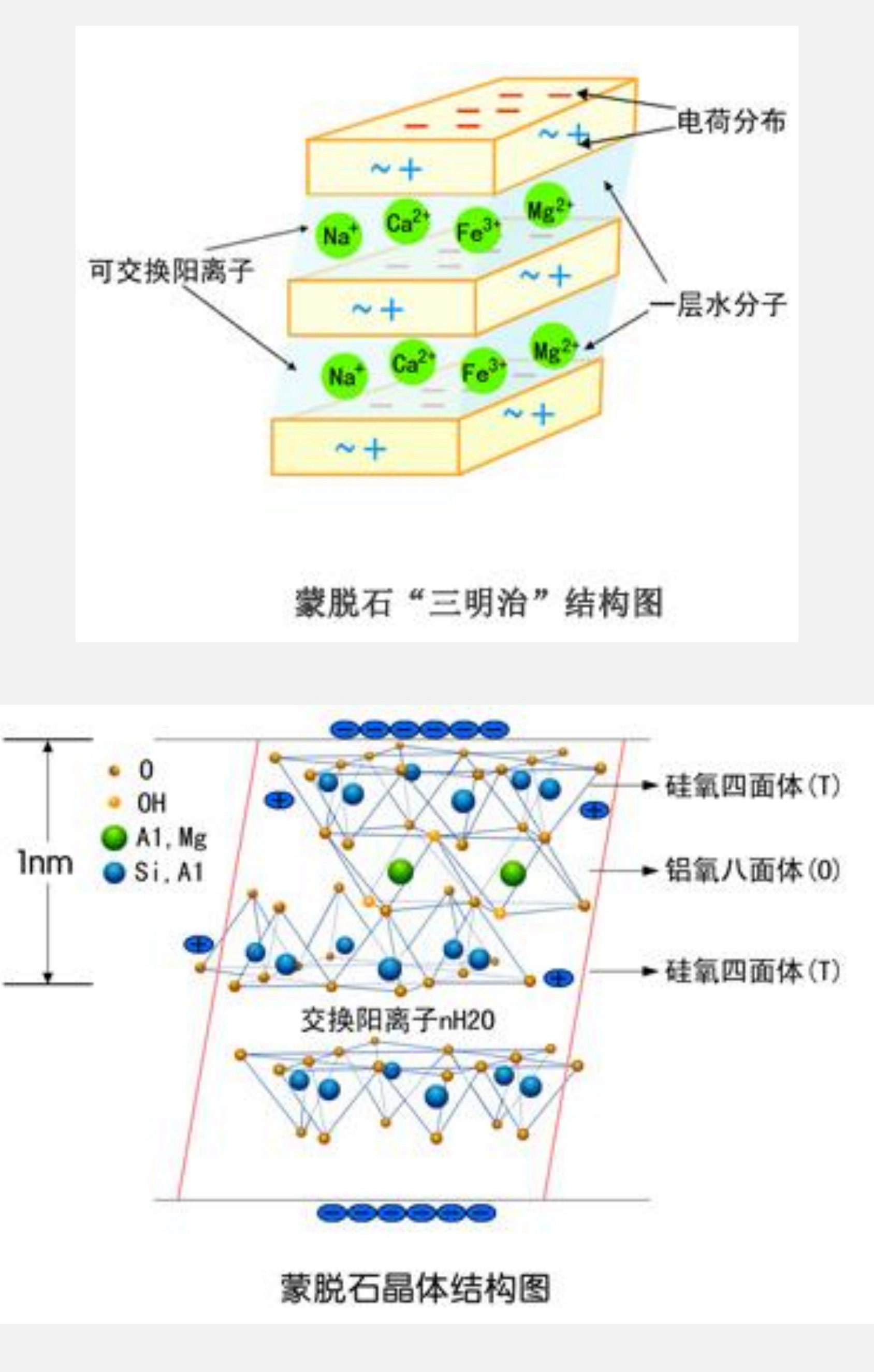 離子交換是層狀結構黏土礦物的重要特征，離子交換吸附具有選擇性。