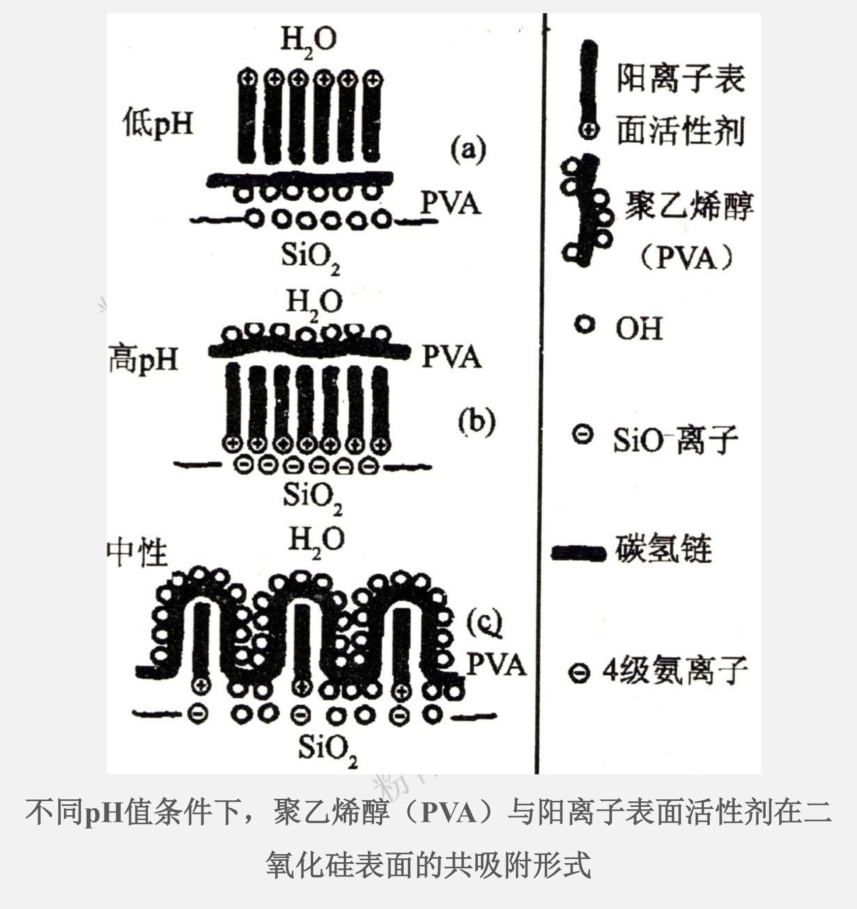 不同pH值條件下，聚乙烯醇（PVA）與陽(yáng)離子表面活性劑在二氧化硅表面的共吸附形式