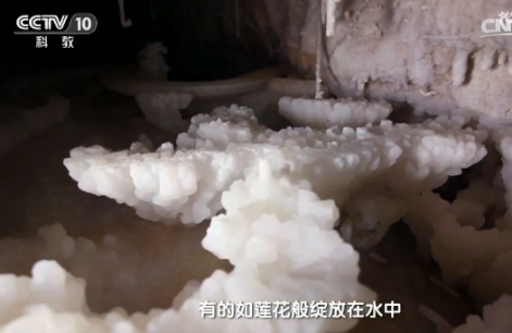 地理中國：碳酸鈣遇到稀鹽酸居然不冒泡？