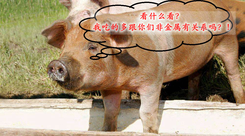 周巖民教授：高價(jià)值非金屬礦在飼料中的技術(shù)要求及產(chǎn)業(yè)現狀！ 
