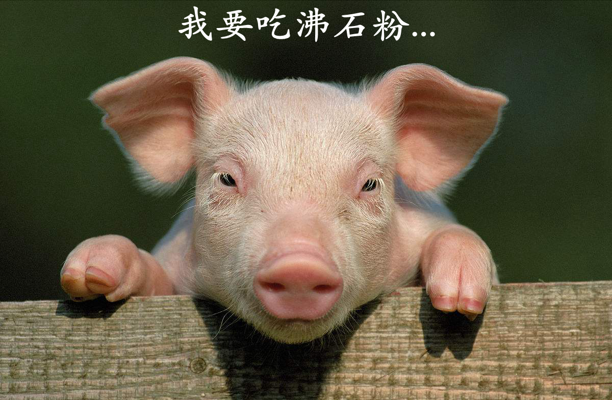 周巖民教授：高價(jià)值非金屬礦在飼料中的技術(shù)要求及產(chǎn)業(yè)現狀！ 