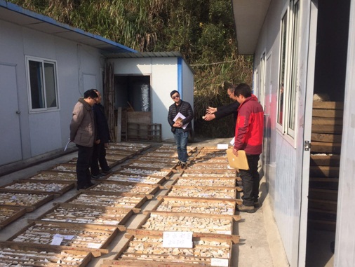 江西遂川探獲玻璃用石英巖4.22億噸，98%高純礦物高達1.56億噸