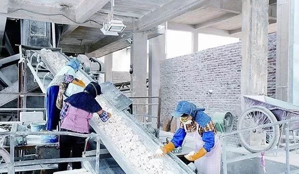 碳酸鈣 環保