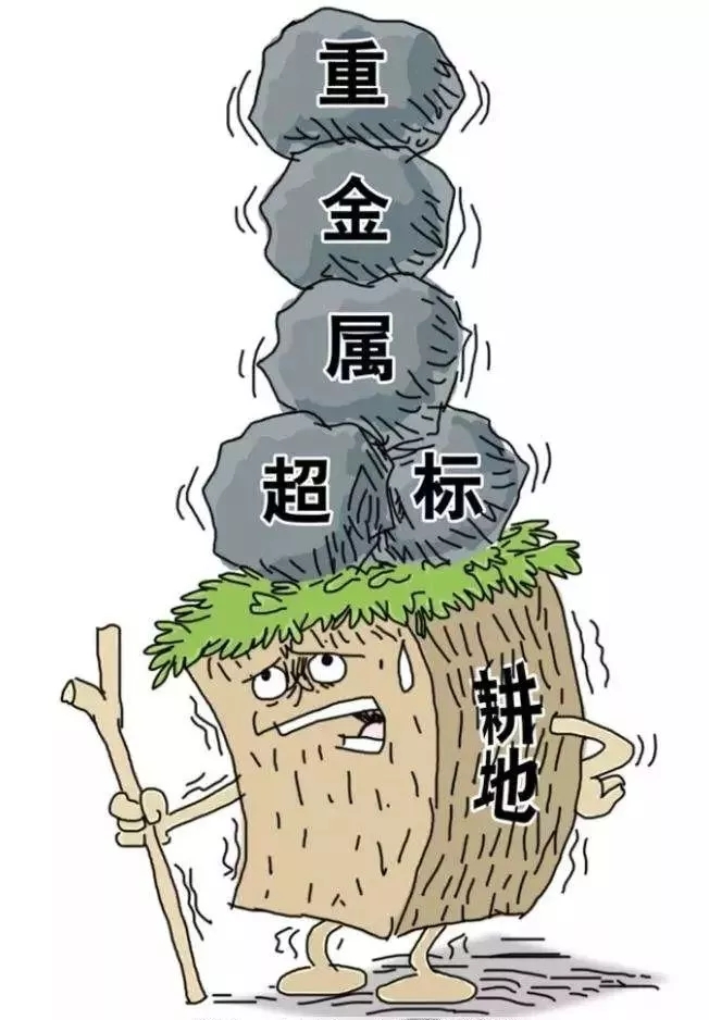 非金屬 礦物 功能材料 土壤修復