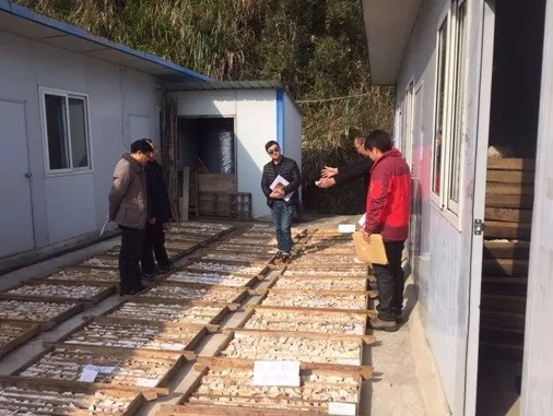 非金屬礦 新發現