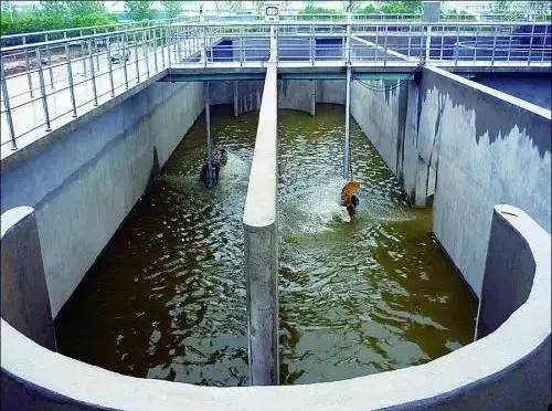 海泡石 有機污染物治理