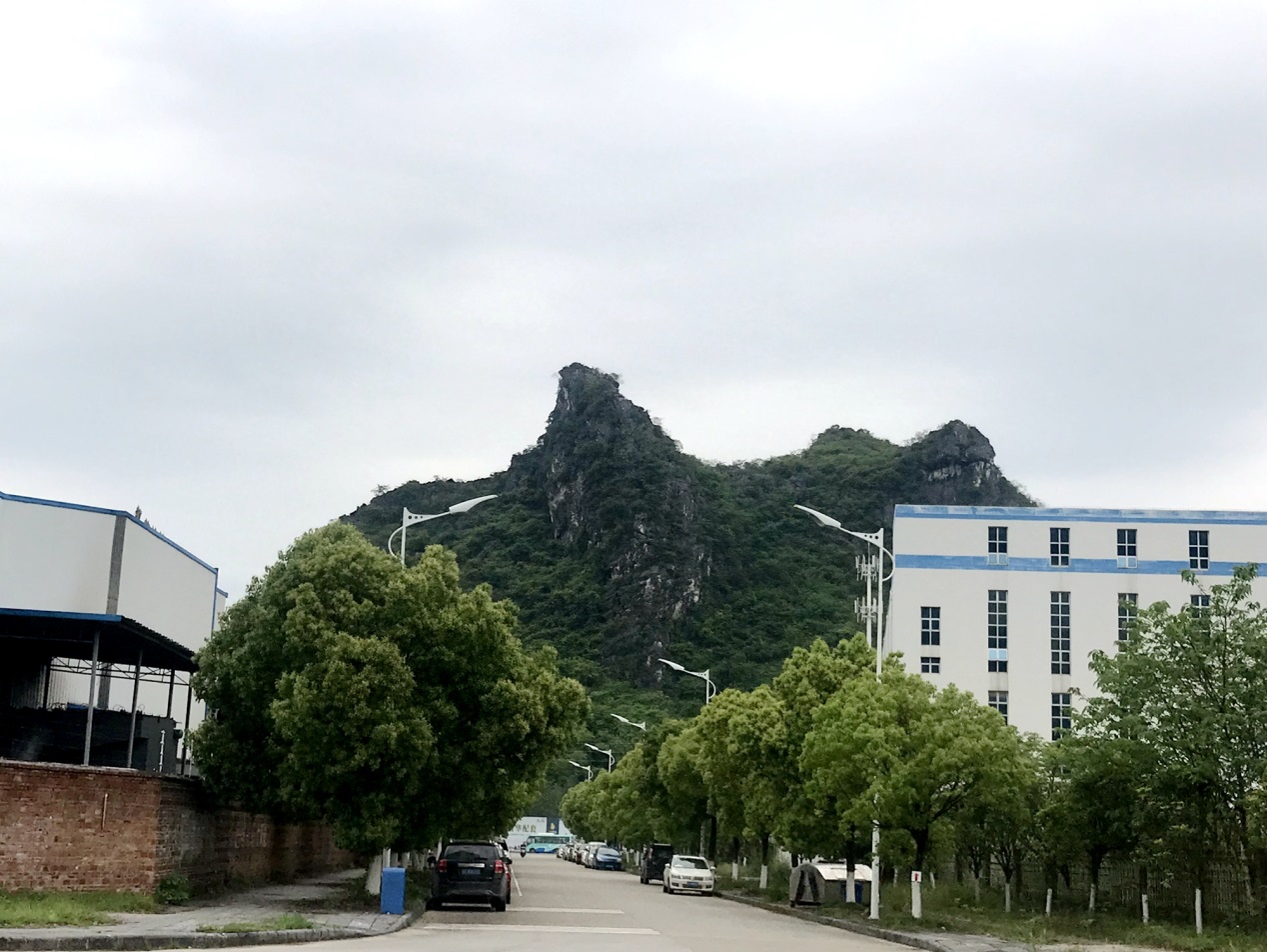 煙雨桂林行—2019國際石灰展走進桂林鴻程