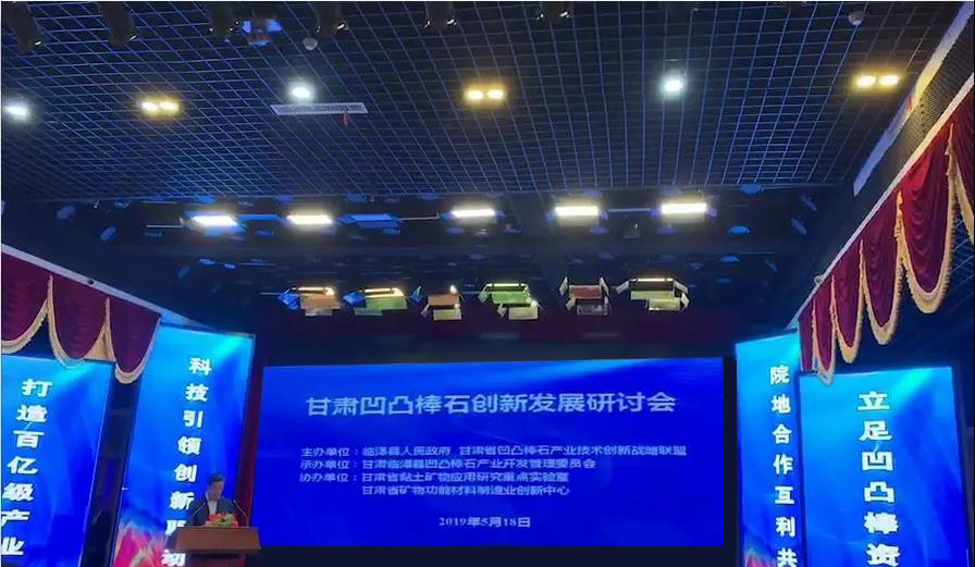 甘肅凹凸棒石創(chuàng  )新發(fā)展研討會(huì )在臨澤隆重召開(kāi)！