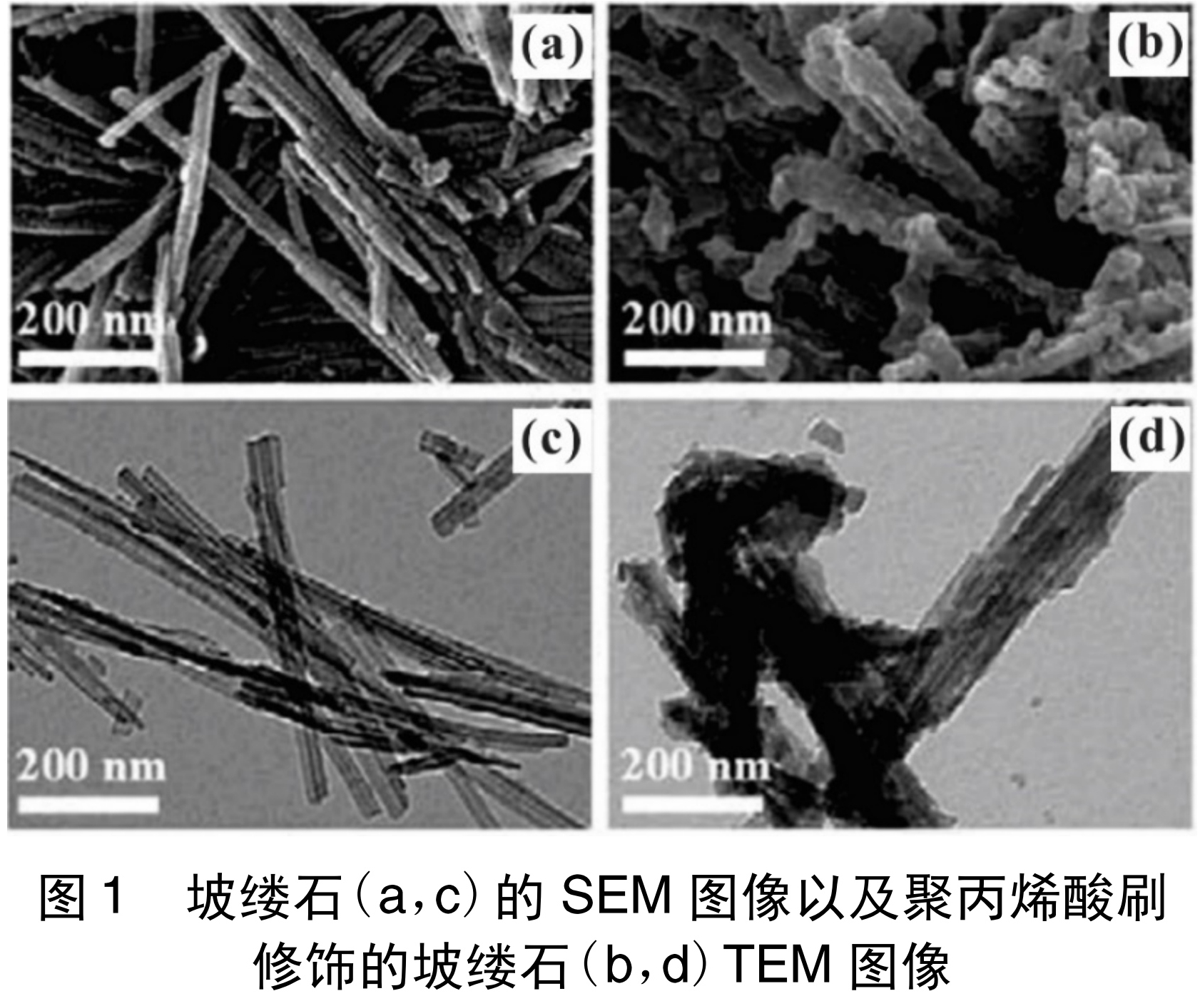 點(diǎn)土成金的3大粘土礦物表面功能化技術(shù)！