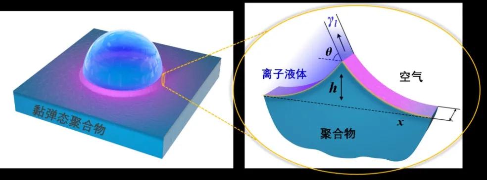 刷新認知！高分子塑料表面原來呈橡膠狀 　　