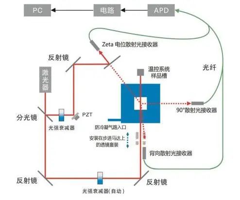 【資訊】丹東百特榮獲國家專精特新“小巨人”企業稱號