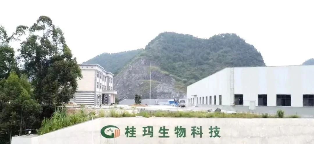 喜報！廣西桂瑪生物科技有限公司獲批“國家高新技術(shù)企業(yè)”認定！ 　　