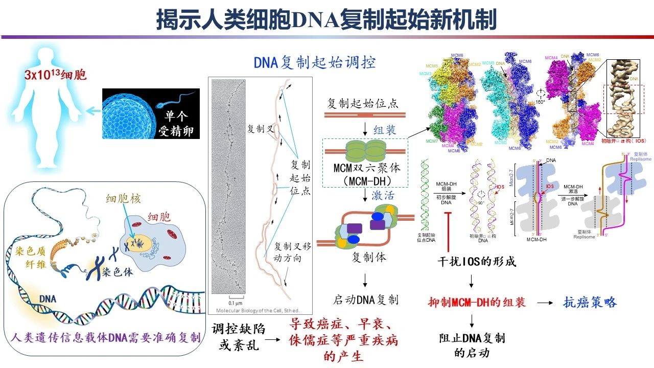 重磅！2023年度中國科學(xué)十大進(jìn)展發(fā)布 　　