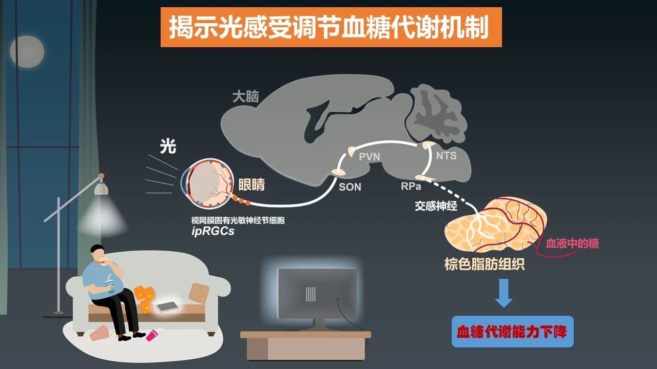 重磅！2023年度中國科學(xué)十大進(jìn)展發(fā)布 　　