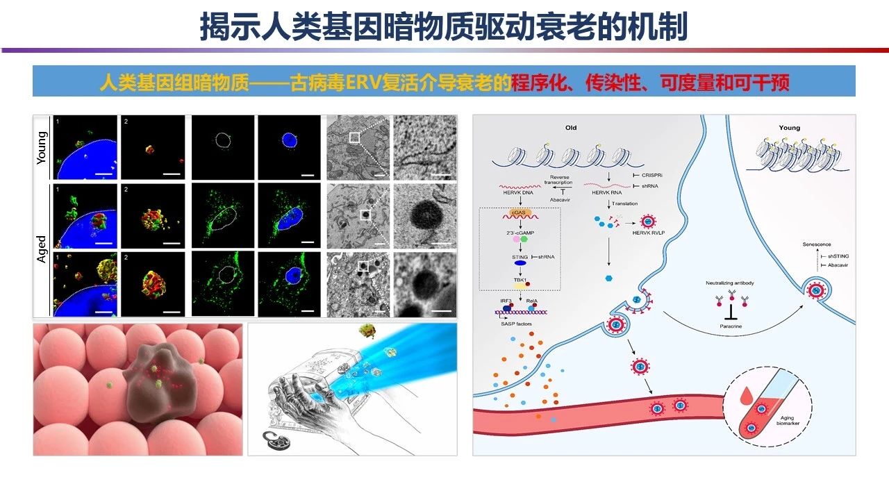 重磅！2023年度中國科學(xué)十大進(jìn)展發(fā)布 　　