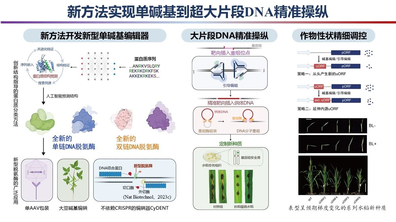 重磅！2023年度中國科學(xué)十大進(jìn)展發(fā)布 　　