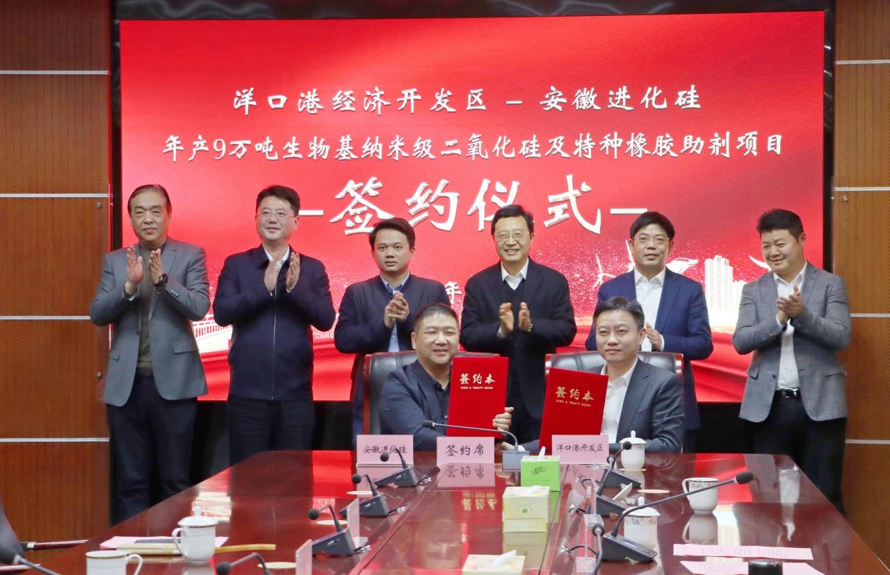 9萬(wàn)噸生物基納米級二氧化硅及橡膠助劑項目落戶(hù)江蘇
